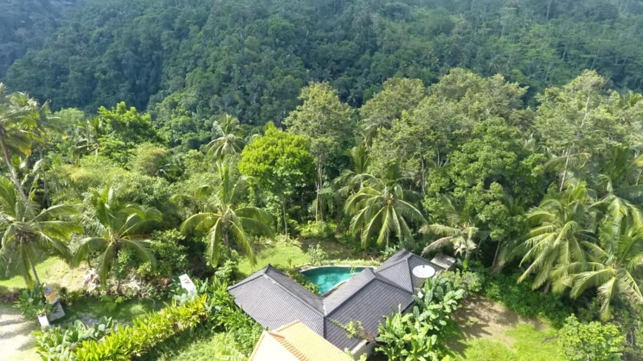 Amara Giri I Villa อูบุด ภายนอก รูปภาพ