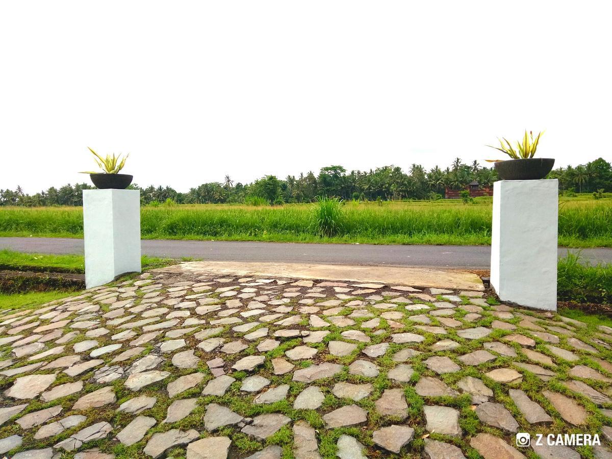 Amara Giri I Villa อูบุด ภายนอก รูปภาพ