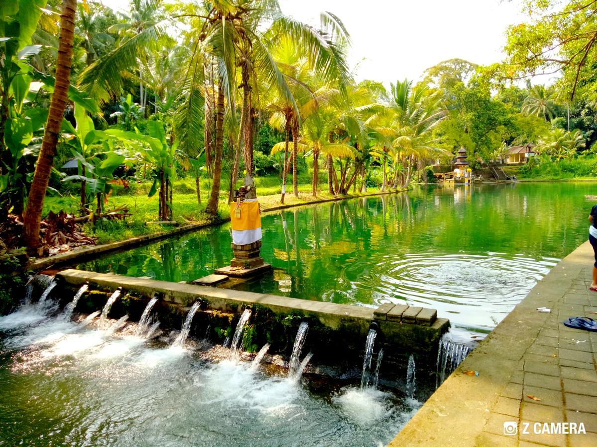 Amara Giri I Villa อูบุด ภายนอก รูปภาพ