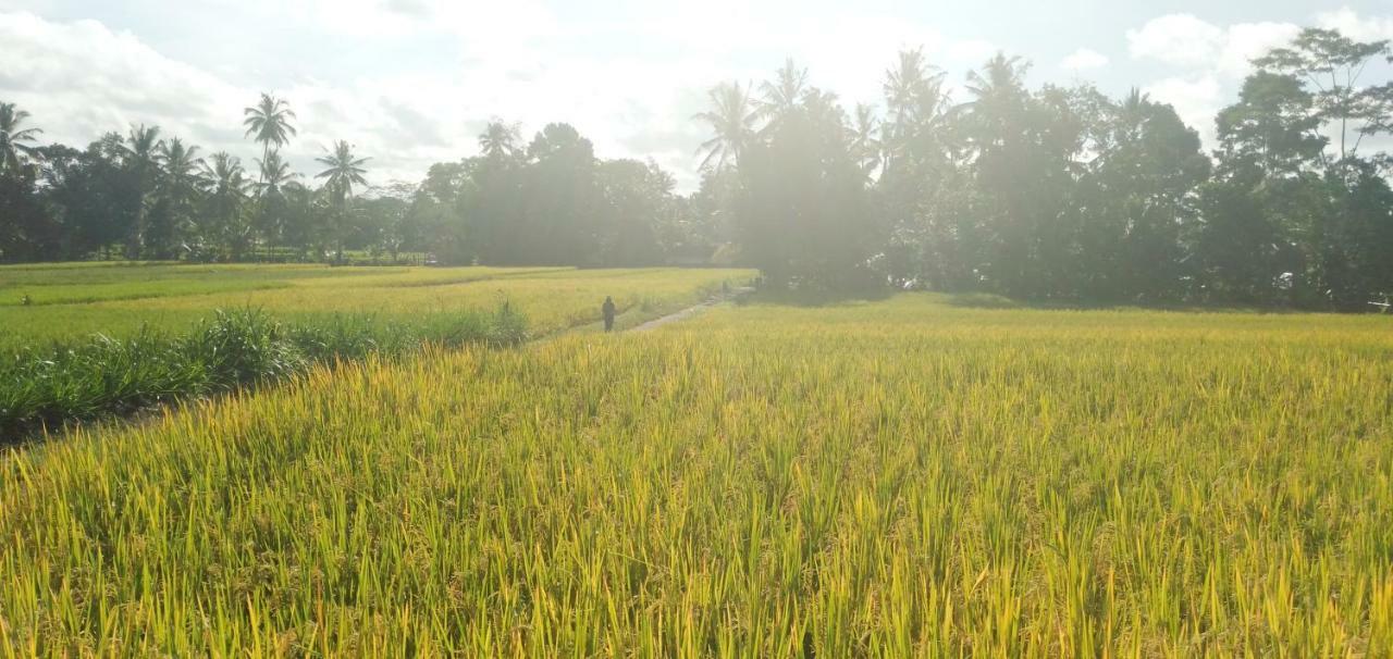 Amara Giri I Villa อูบุด ภายนอก รูปภาพ